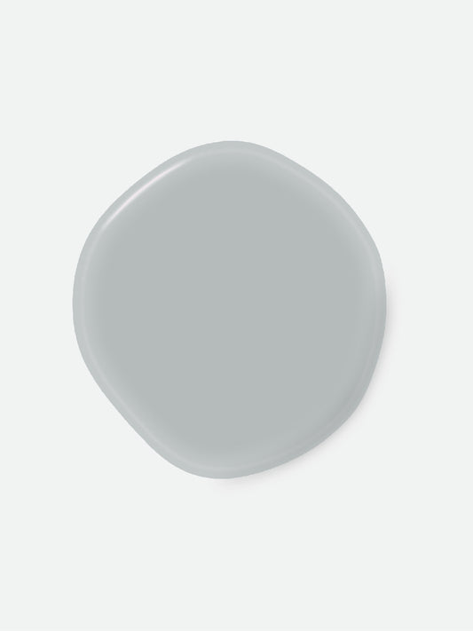 DOVE OSANO I FENICOTTERI