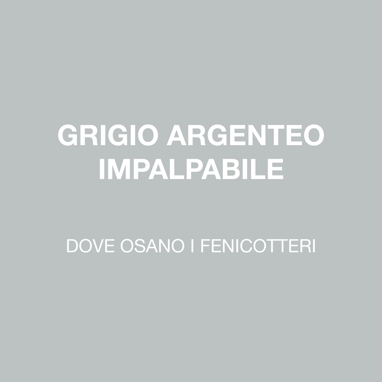 DOVE OSANO I FENICOTTERI