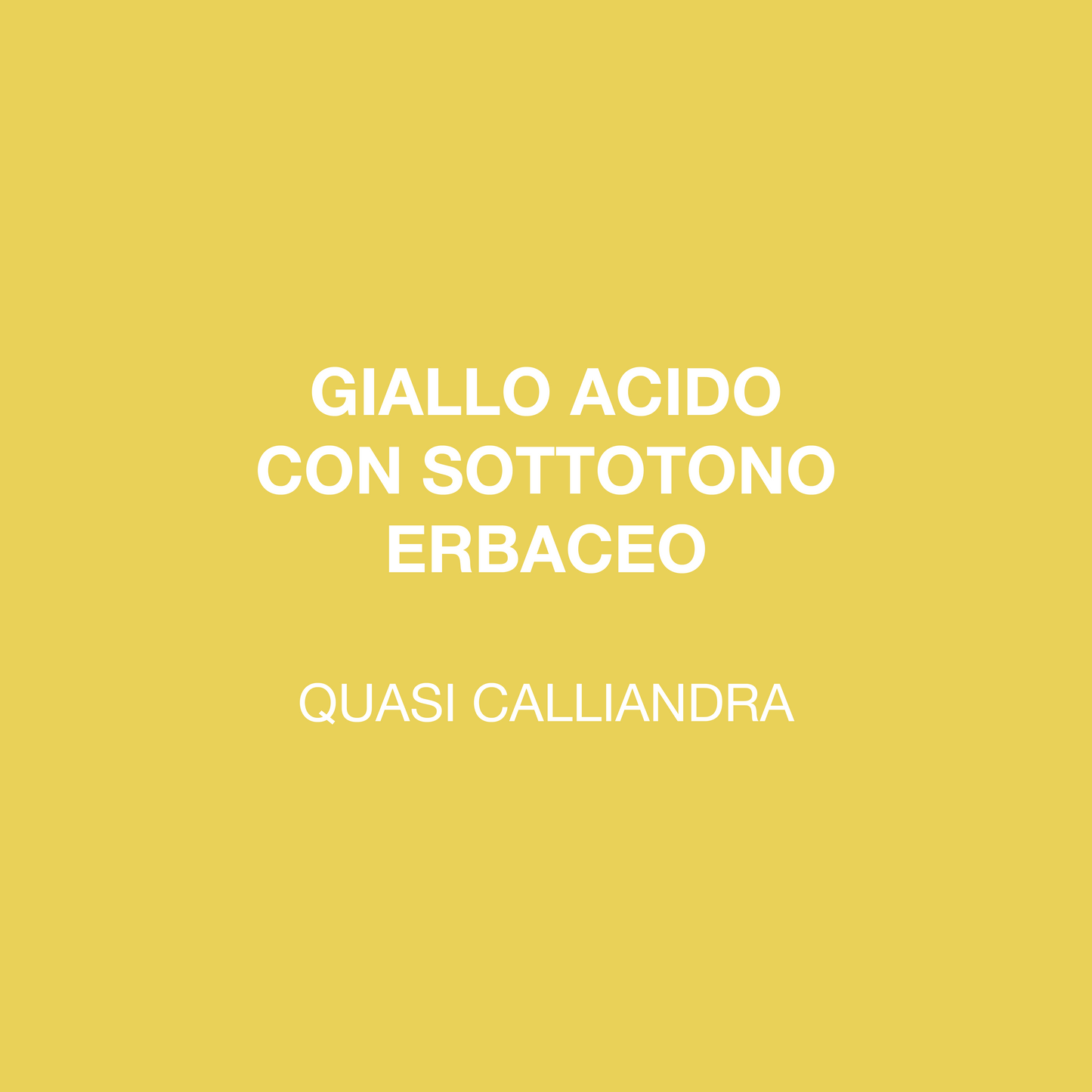 QUASI CALLIANDRA