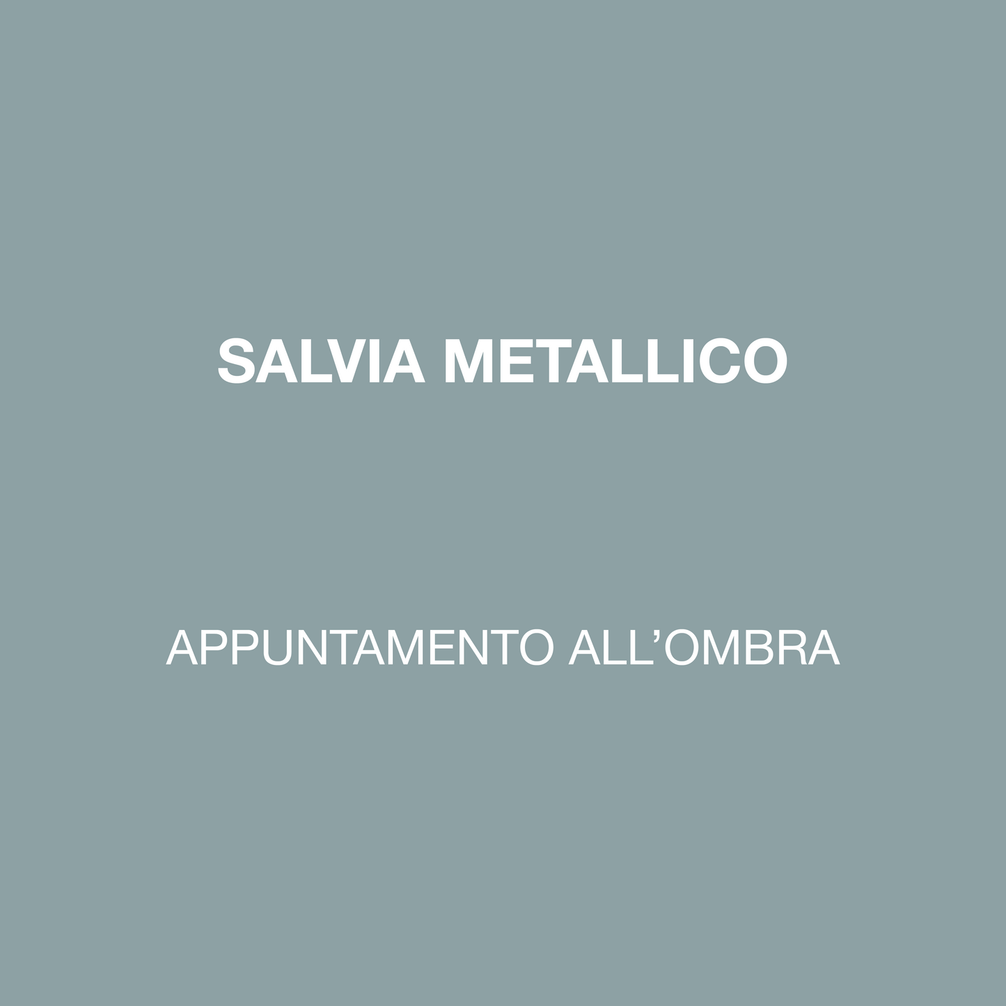 APPUNTAMENTO ALL’OMBRA