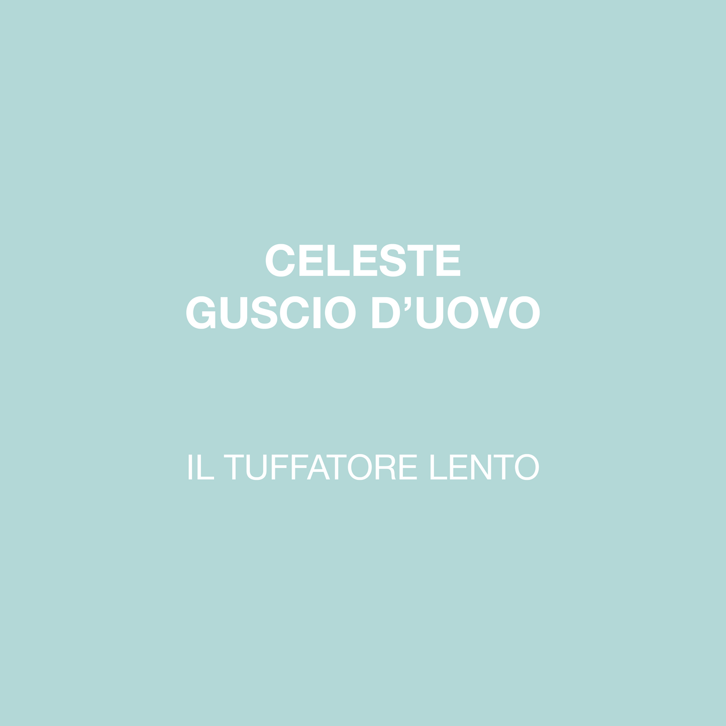 IL TUFFATORE LENTO