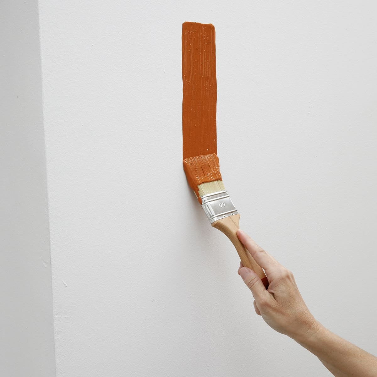 Applicazione della pittura murale con pennello professionale Maibianco