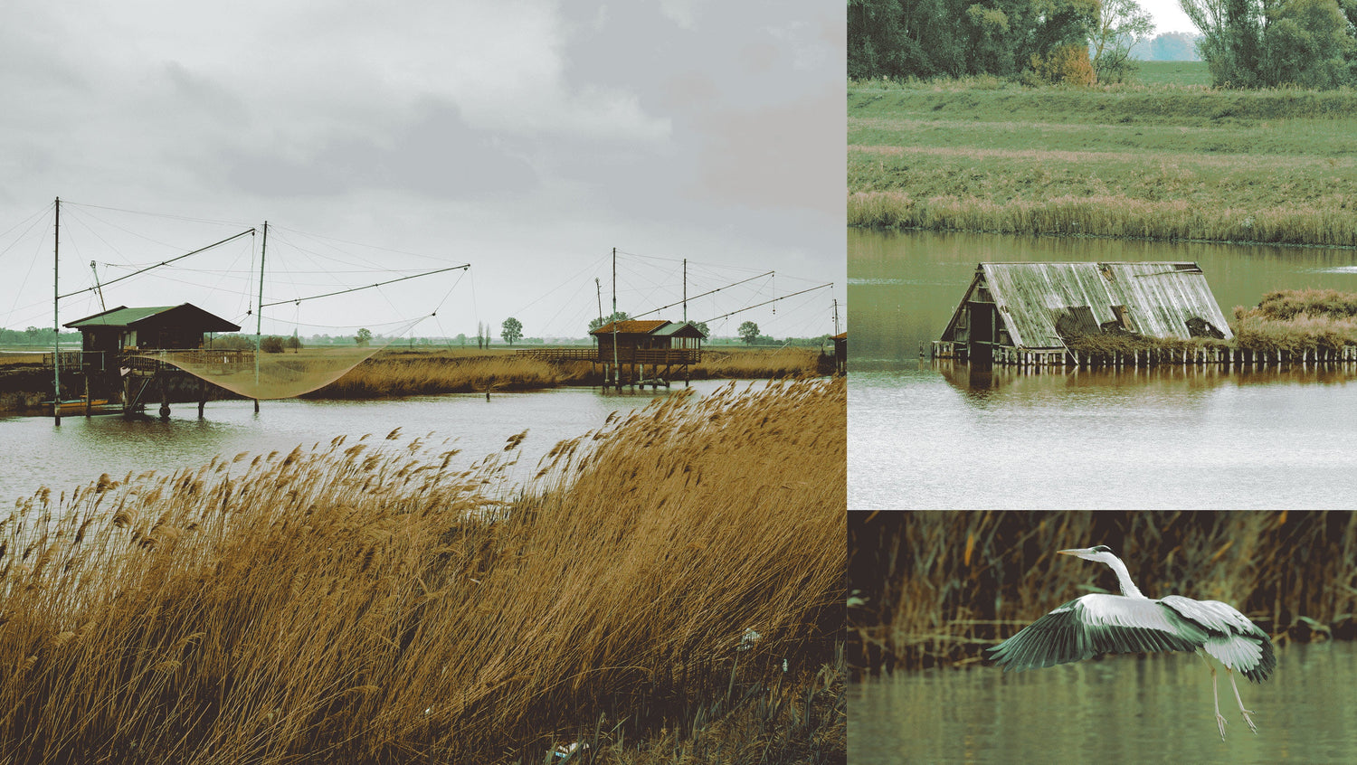 DELTA DEL PO