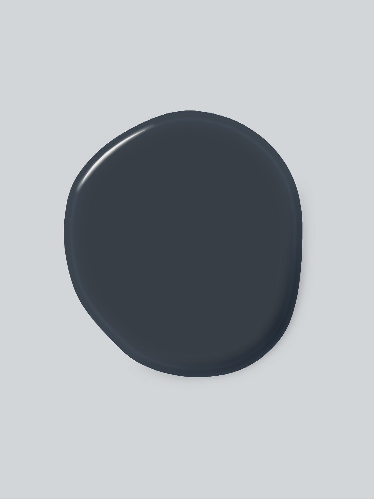 Campione colore blu scuro Notti Walser Maibianco, pittura per interni opaca e lavabile.