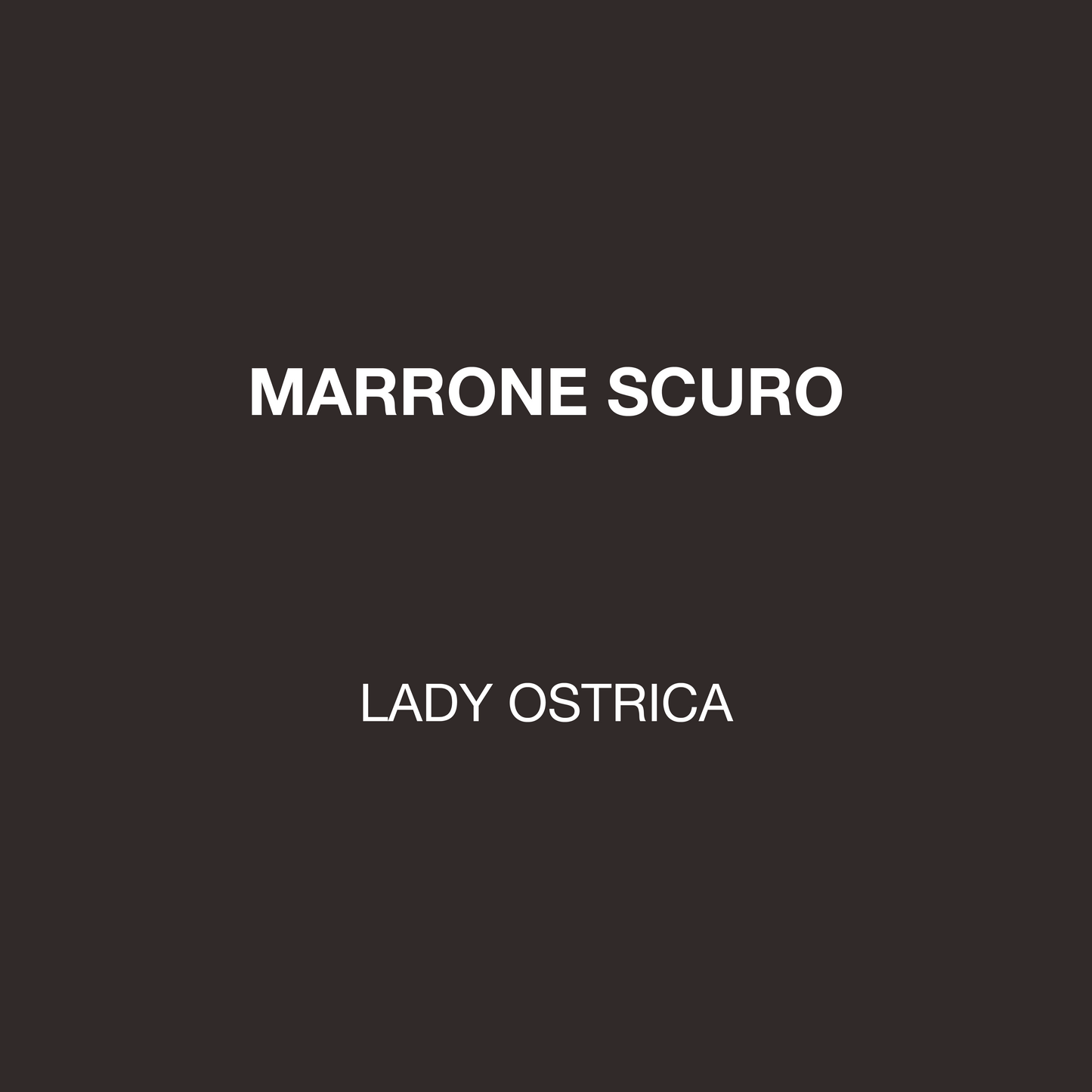 DARK BROWN PAINT | LADY OSTRICA