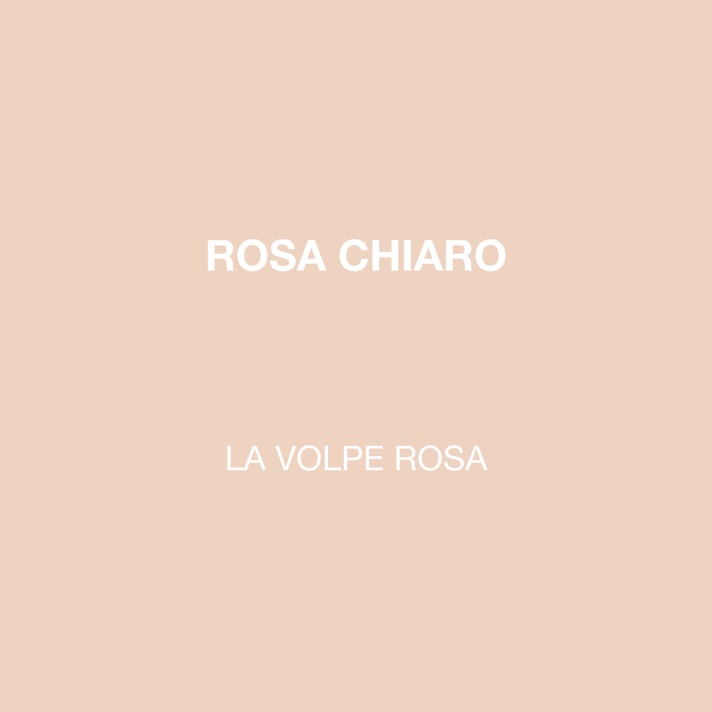 LIGHT PINK PAINT | LA VOLPE ROSA